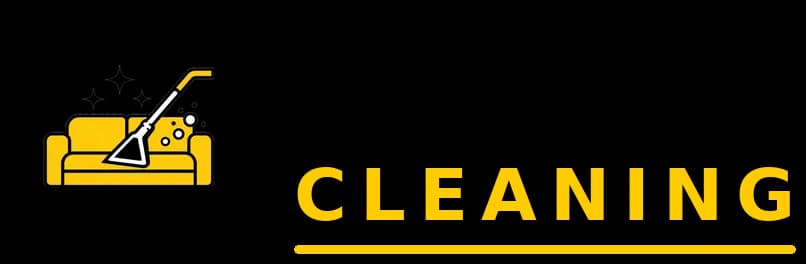 Anvi Cleaning logo